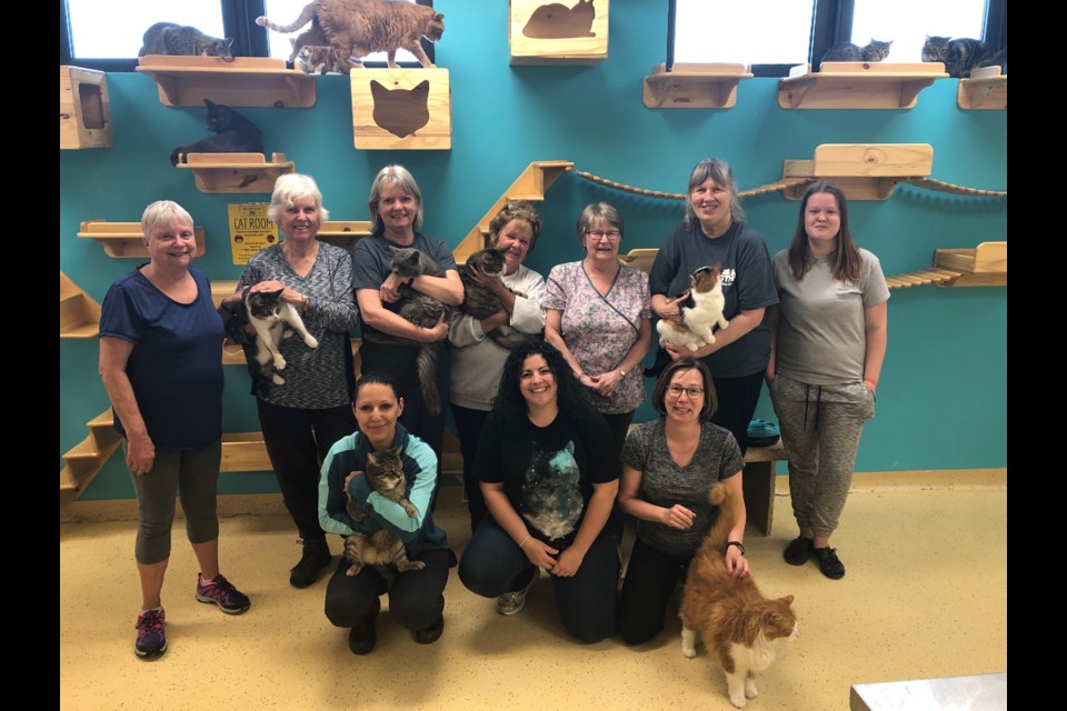 Some of the 250 volunteers who regularly help with the care of animals at the Georgian Triangle Humane Society. Erika Engel/CollingwoodToday
