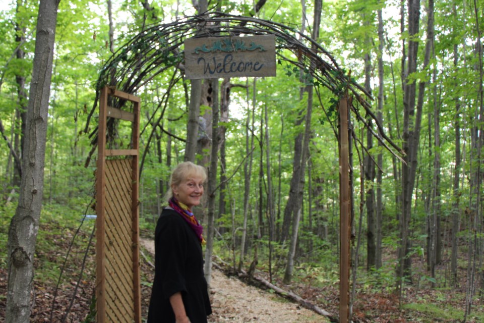 Welcome to the whimsical woods. Maddie Johnson for CollingwoodToday