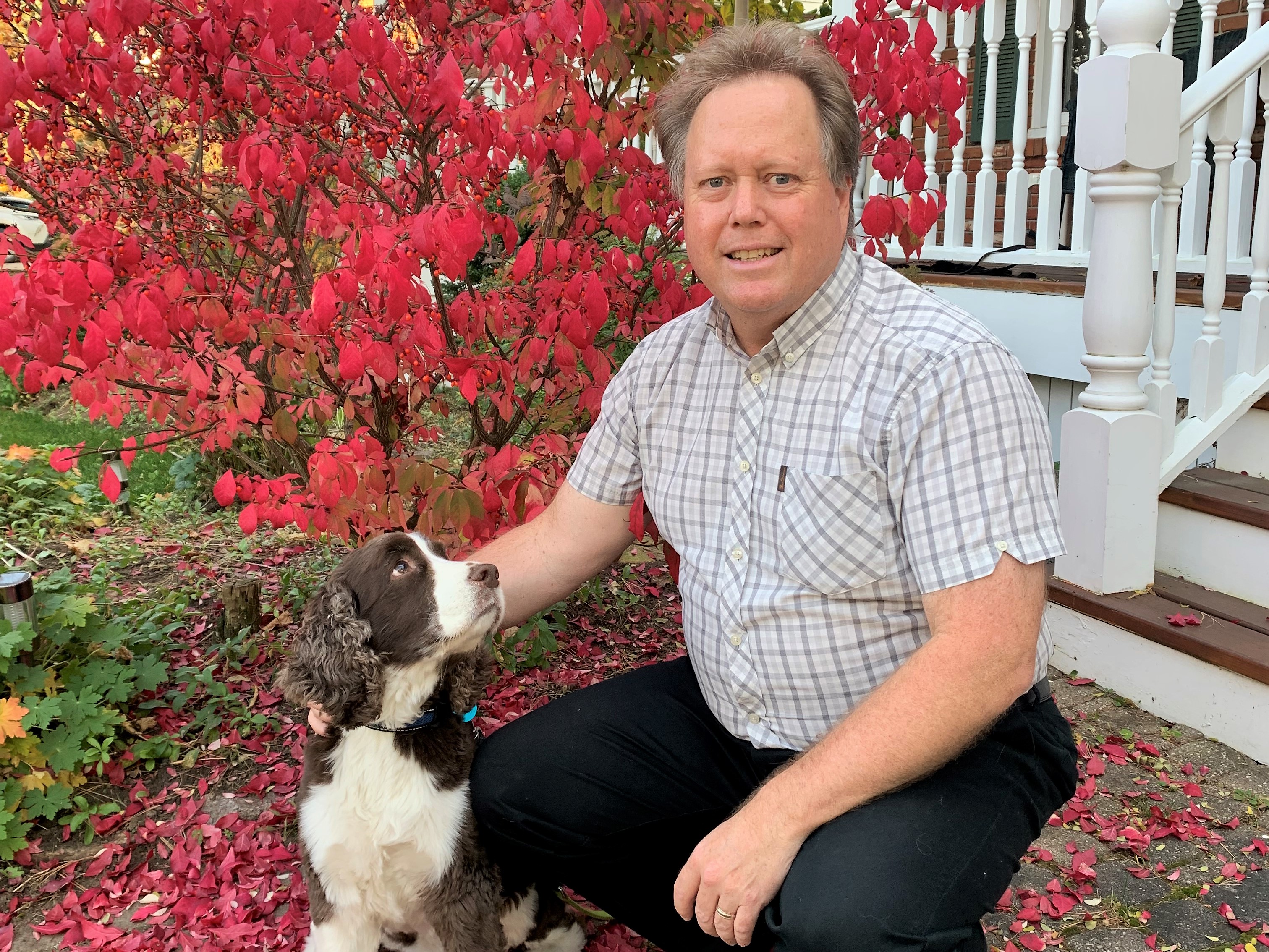 Collingwood 24 hour sales vet
