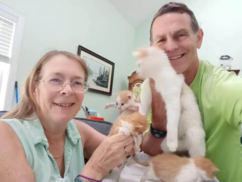 Glen and Linda White are currently fostering one cat, Blinx, along with her five three-week-old kittens, through the Georgian Triangle Humane Society.