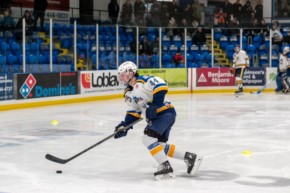 blues-feature-figure-skaters-for-family-day-game-collingwood-news