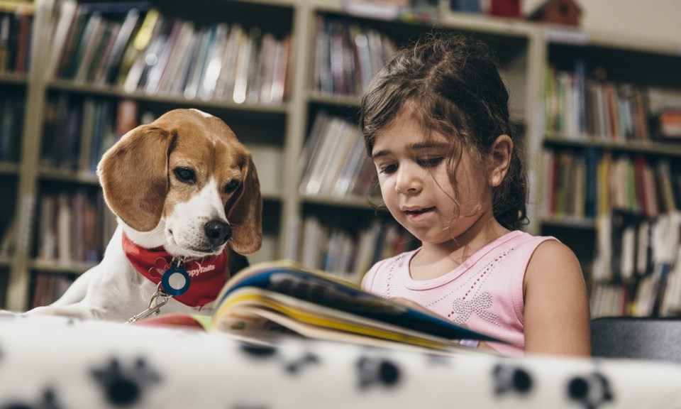 reading_therapy dog