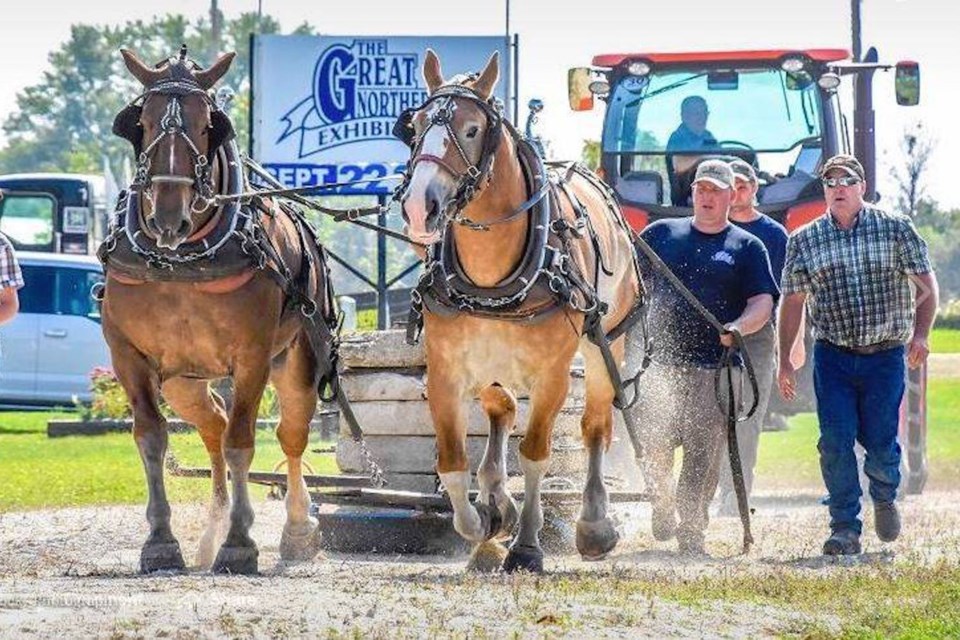 Since 1885, the Great Northern Exhibition (GNE) has celebrated farming, livestock and heritage.