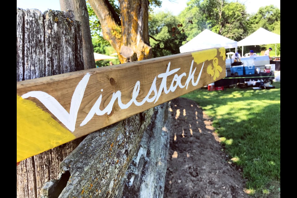 Vinestock puts music festival goers among the grapevines. Contributed photo