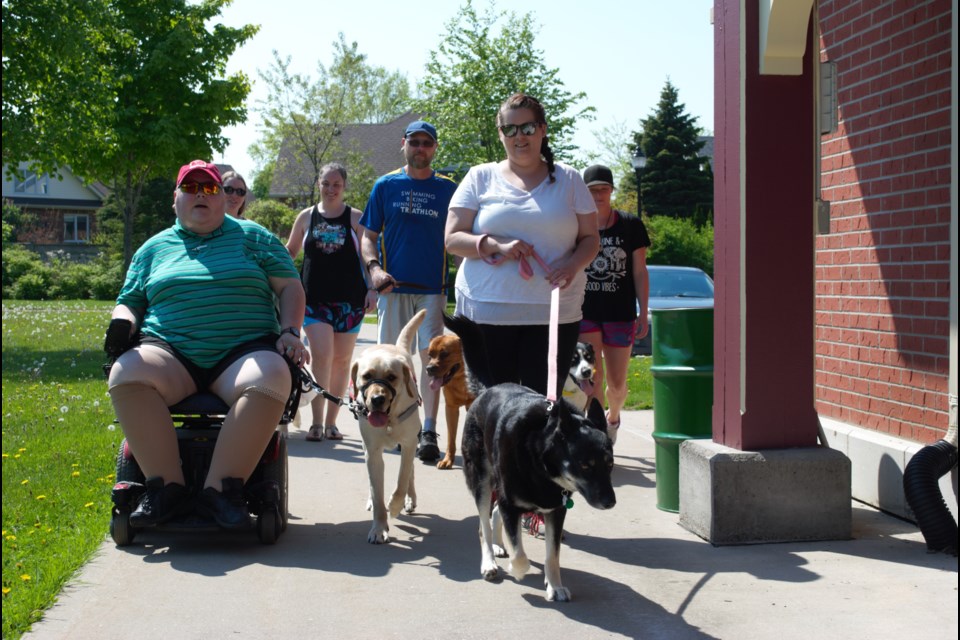 The Walk for Guide Dogs took place on Sunday, starting out at the Collingwood Museum. Jessica Owen/CollingwoodToday