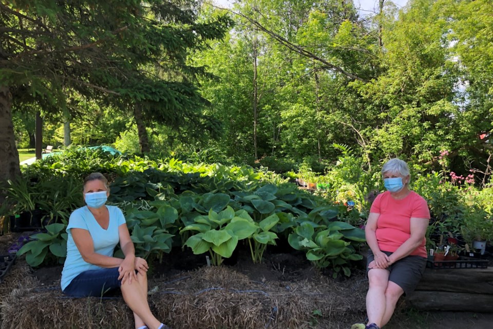 Lynn Murray, plant sale director, and Barb Collinson, past club president and Arboretum director, have been working hard to move the sale online. Maddie Johnson Photo