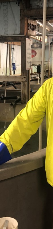 Anglers Keep Fish Hatchery Running For 3 Decades Newmarket News