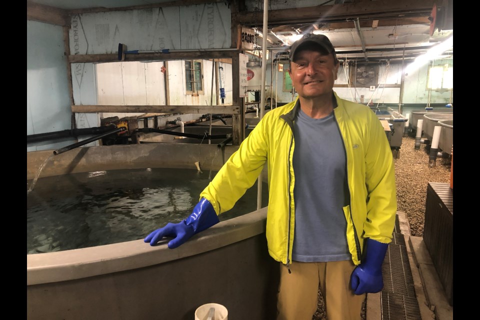 Nick Alfano is the volunteer manager of the fish hatchery, run by the Georgian Triangle Anglers' Association. 