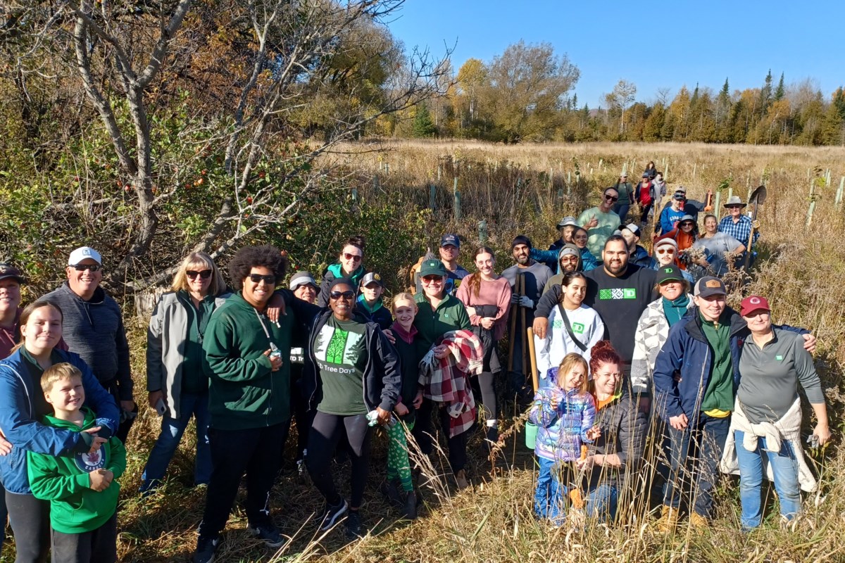 TD Tree Days includes a planting day in Wasaga Beach and in Avening this fall