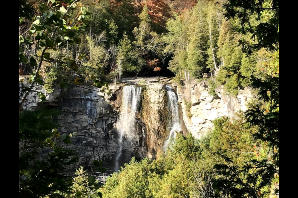 Eugenia Falls features a 30-metre waterfall. On Tuesday afternoon, a youth fell several metres while exploring the site off of the designated trail. Jennifer Golletz/ Collingwood Today