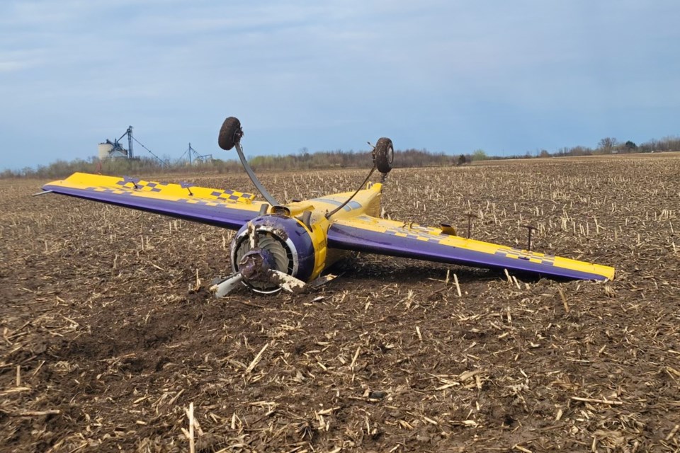 The pilot of a small aircraft was forced to make an emergency landing in Collingwood on Sunday.