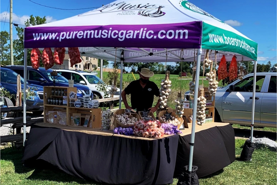 Over 10 years ago, Boars Rock Farm, located in Grey Highlands, started growing an acre of organic hard-necked garlic called music. The adventure into Garlic Farming has become a family affair.