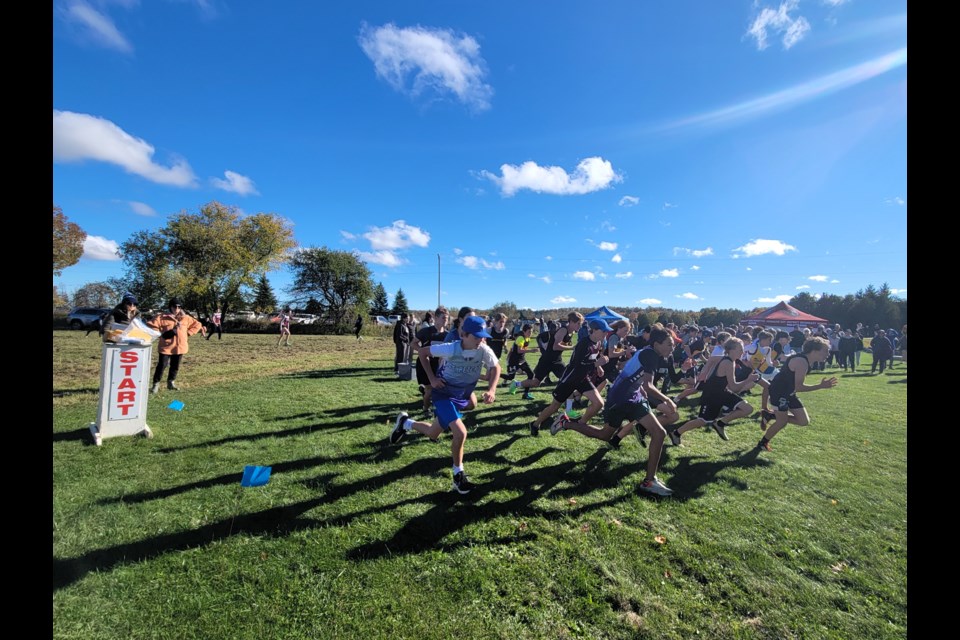 Runners take off from the start line at the Georgian Bay Cross Country Series at Highlands Nordic in Duntroon on Oct. 12, 2023.