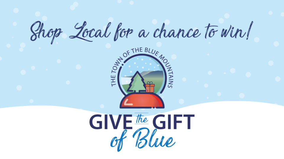 Give the Gift of Blue - website image