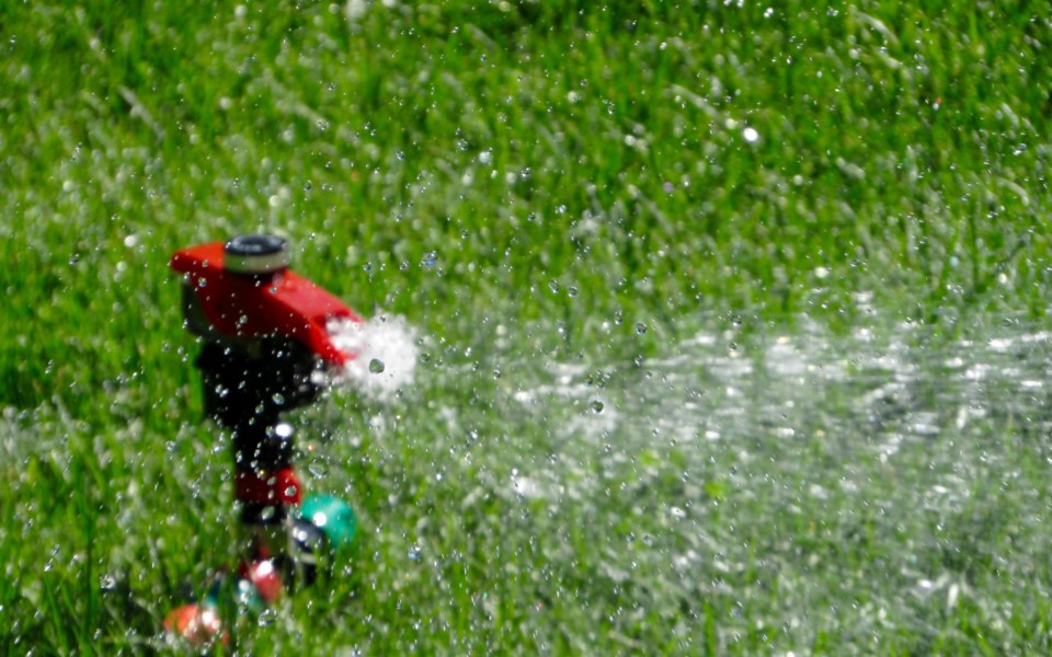 lawn-watering-stock