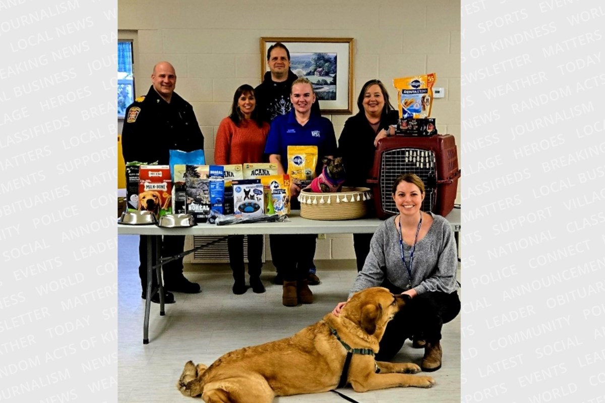 Wasaga overnight warming centre now accepts pets