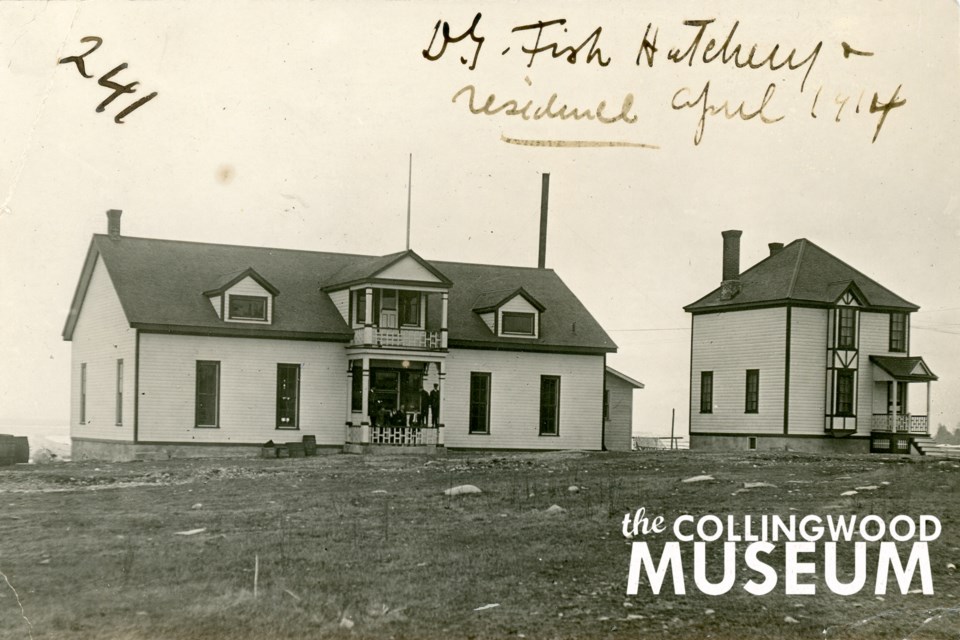 Fish Hatchery and residence, April 1914. 