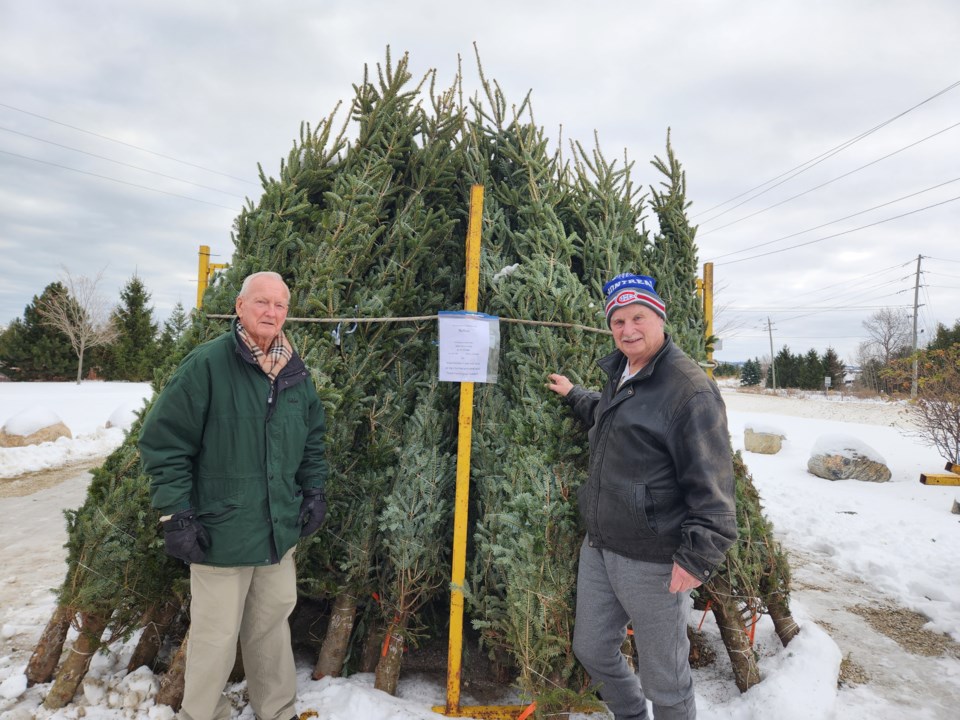 lions-club-christmas-trees