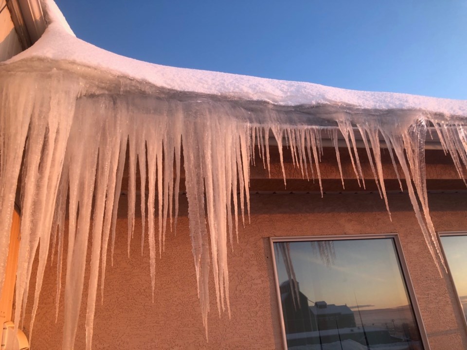 dcicicles