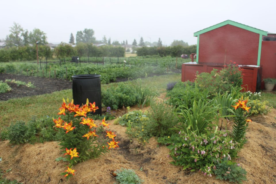 dc-community-gardens