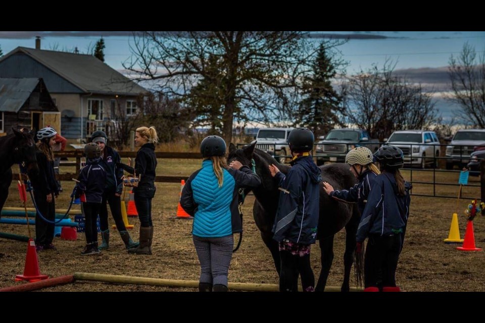 A youth group working with the horses in Baytree, photo courtesy of local photographer Collin Ball, who's taken many pictures for the program. (Supplied)