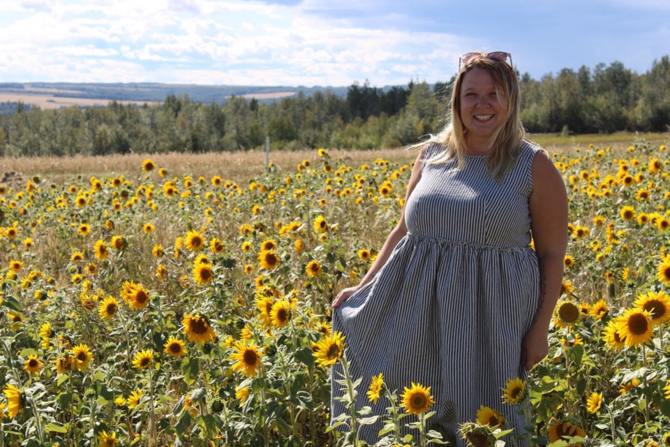 sunflowers