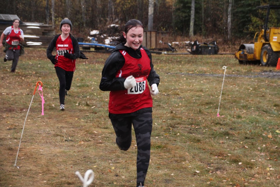 DCSS-crosscountry