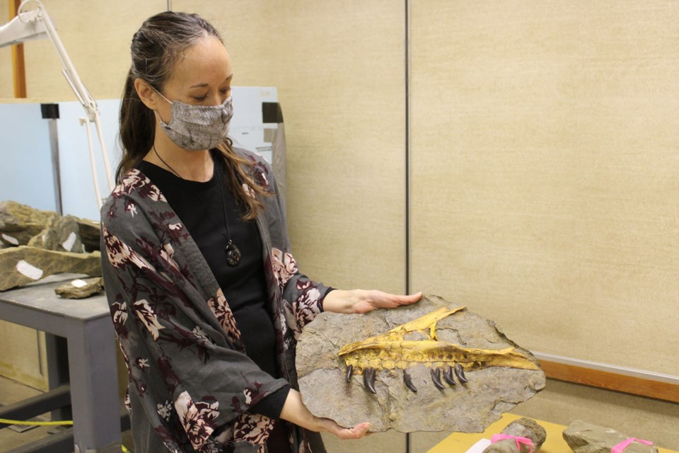 Tumbler Ridge Museum Manager Zena Conlin holds a casting of a partial T-Rex jaw imprint - March 12