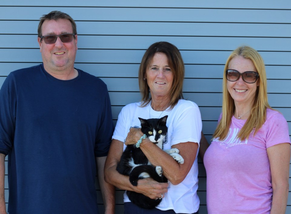 bc-ferries-cat-rescue
