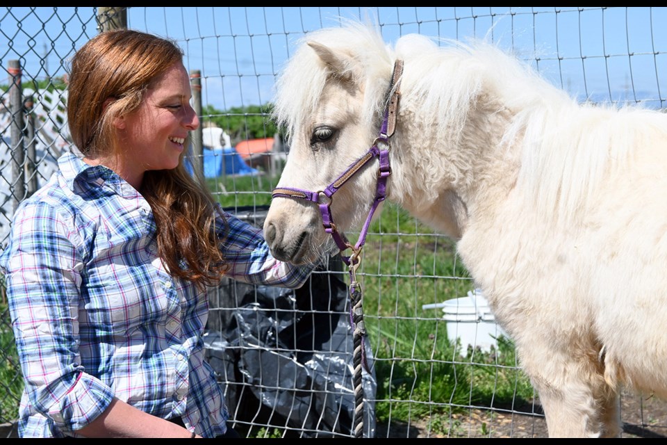 Tiny Tales Pony Rescue Society owner Tara Pay with her rescued guest "Frosty" at the East Ladner stables.