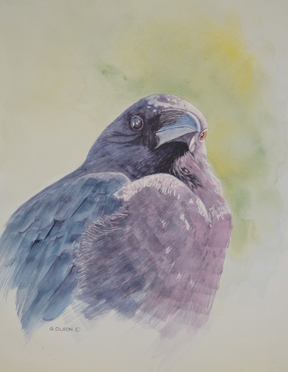 G. Olson bird painting