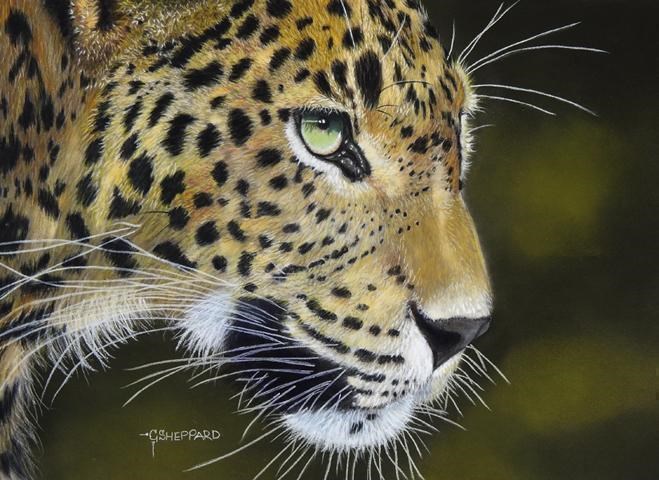 Leopard by Catherine Sheppard.