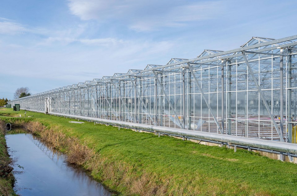 agraflora cannabis greenhouse ladner bc