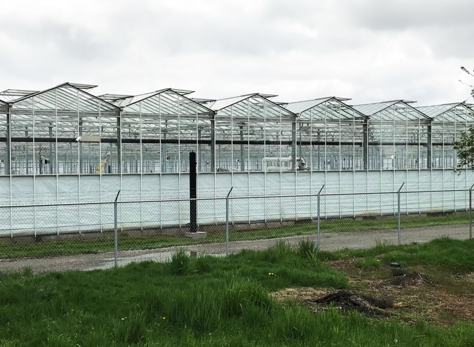 greenhouse at 10250 hornby drive east delta