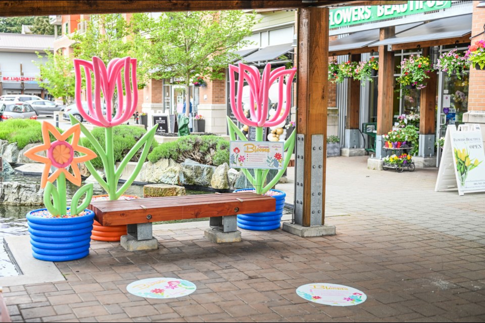 The Tsawwassen Business Improvement Association (TBIA) has launched a Tsawwassen Blooms campaign, which will add vibrancy and colour to the commercial business district from May through August.