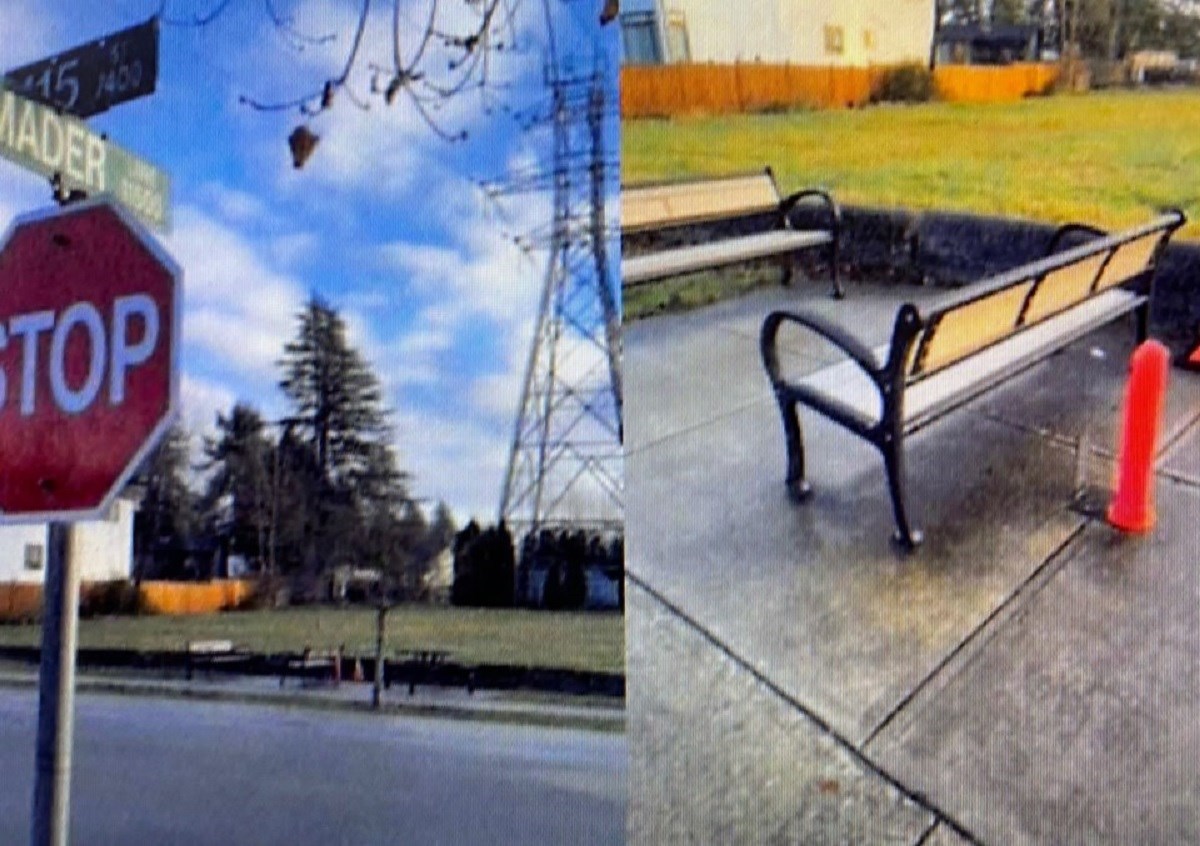 Abandoned Delta shade structure project to proceed years later
