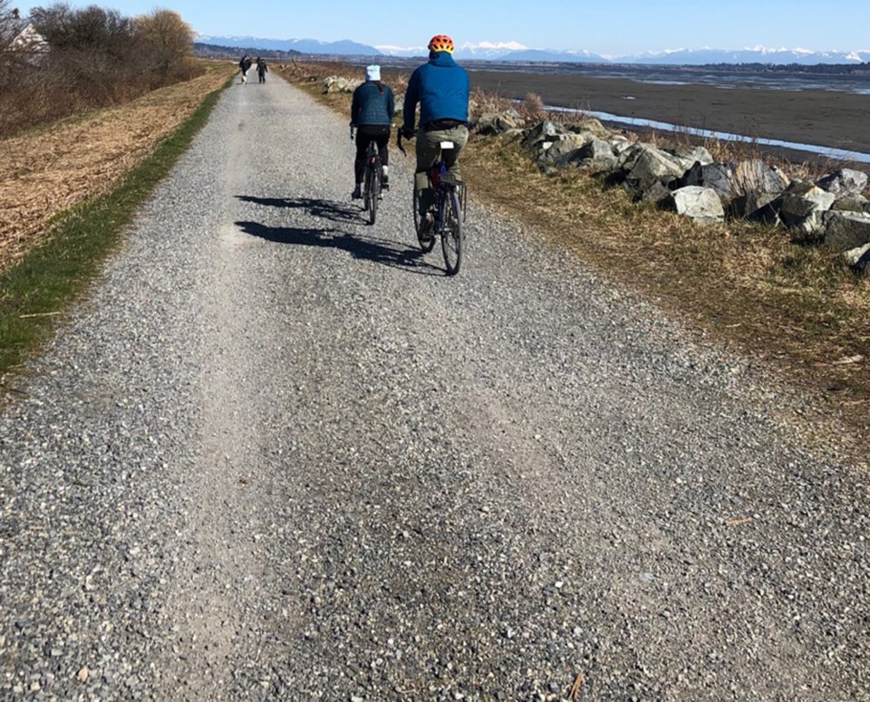 Cyclists on Boundary Bay dike