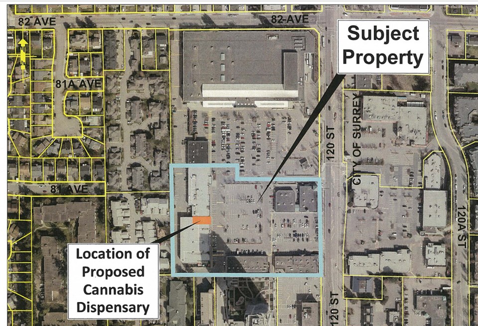 north delta cannabis dispesary application shoppers mall