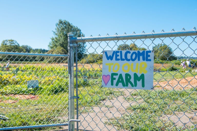 Farm Roots