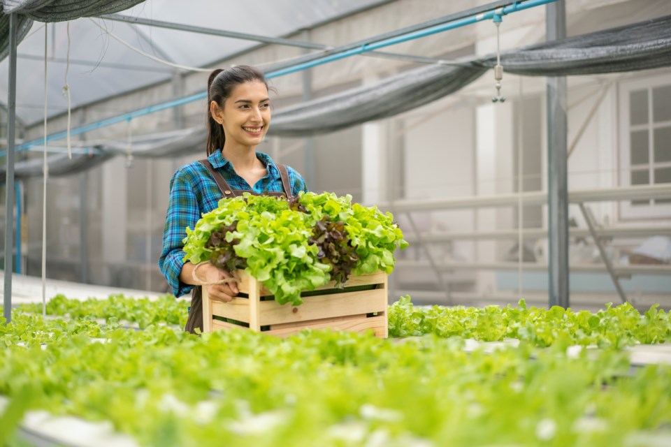 Student farmer