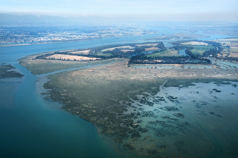 Fraser River Delta - aerial view