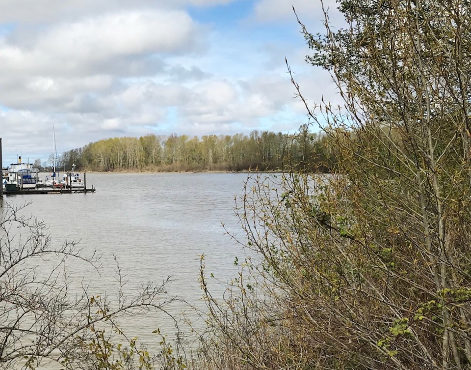 Fraser River in Delta