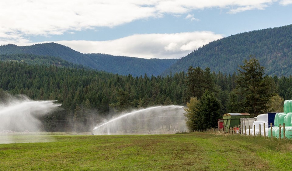 IAF irrigation