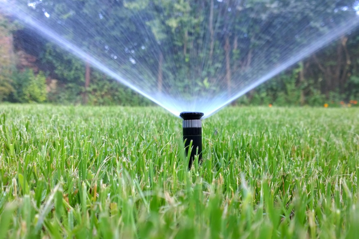 Burnaby-New West residents warned about new water restrictions - Burnaby Now