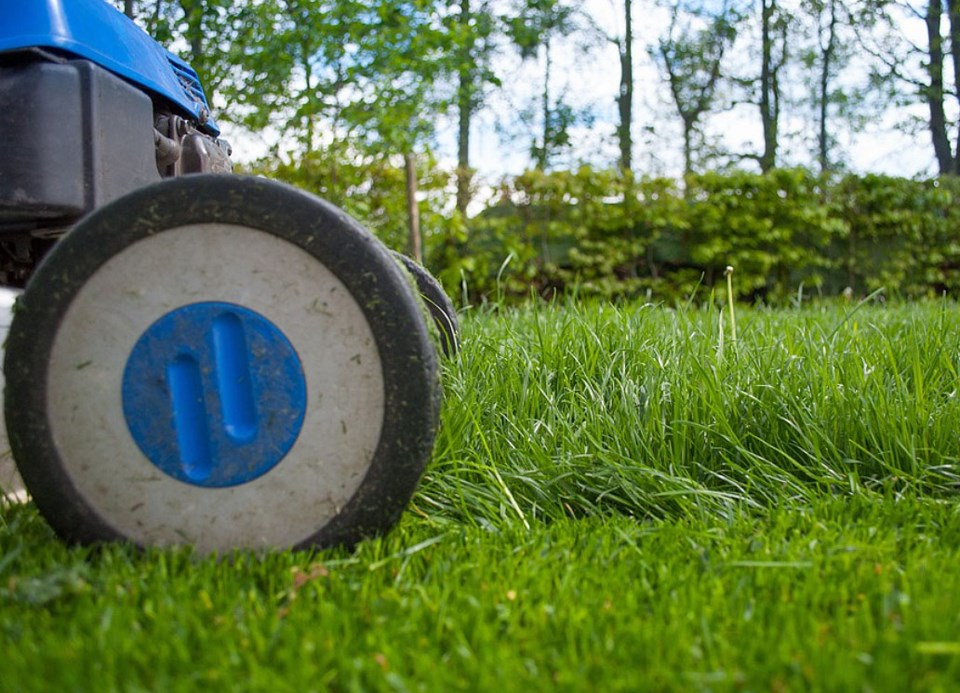 lawnmowers in the city of delta,bc