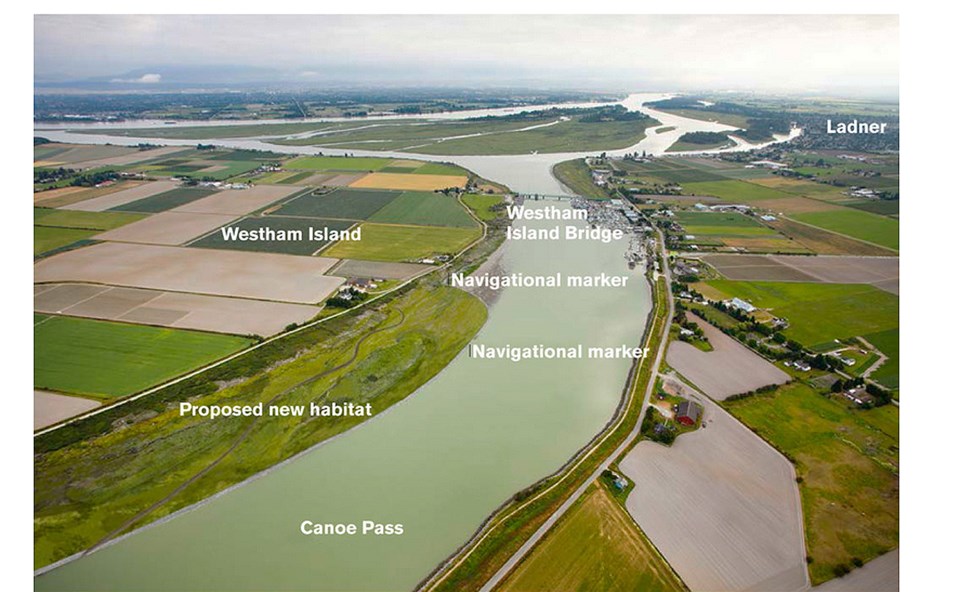 port delta marsh project