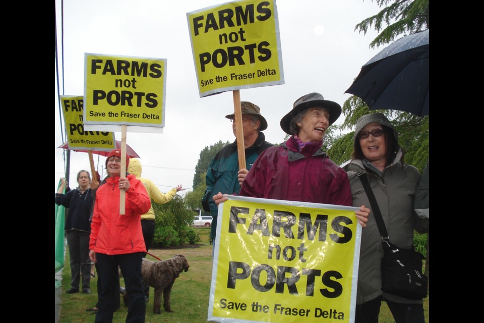 Opponents of port expansion in Delta warned about environmental impacts and pressure to industrialize farmland.                       
