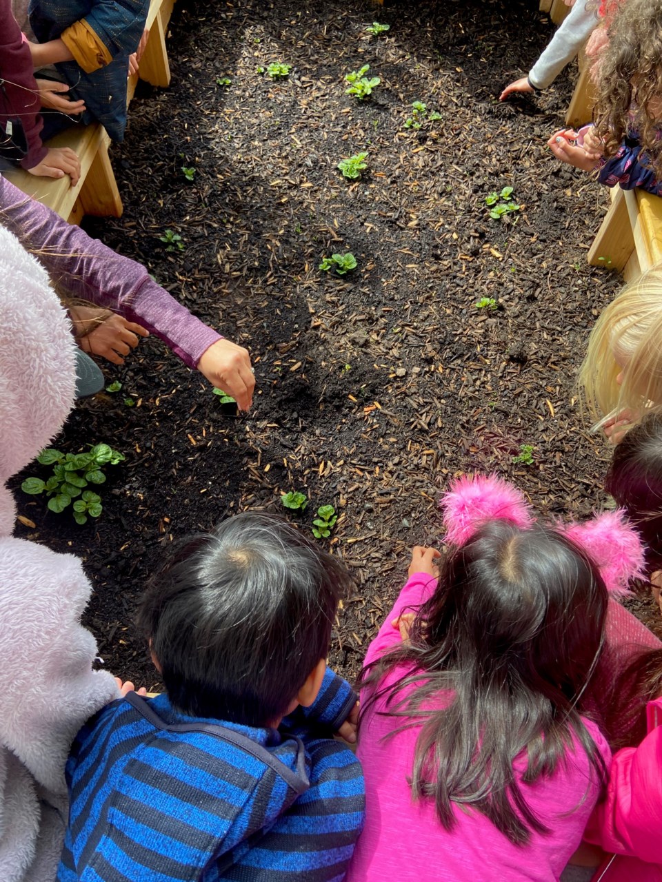 South Delta Garden Club speaker