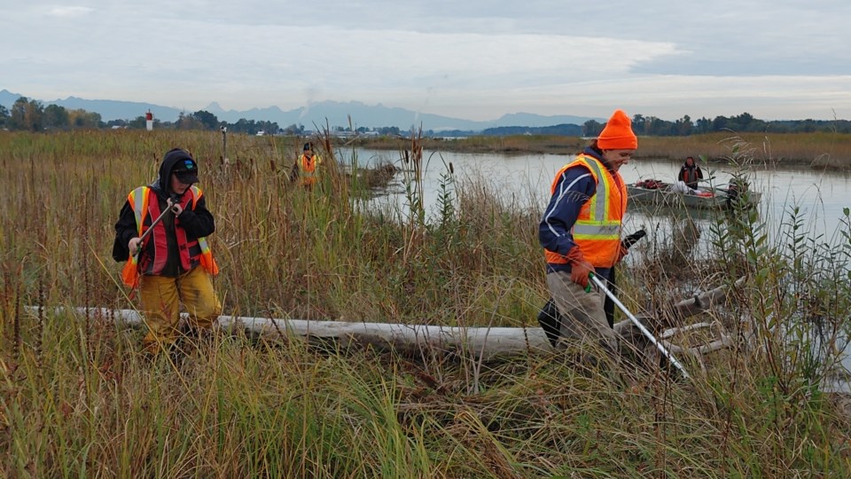 Wetlands Workforce