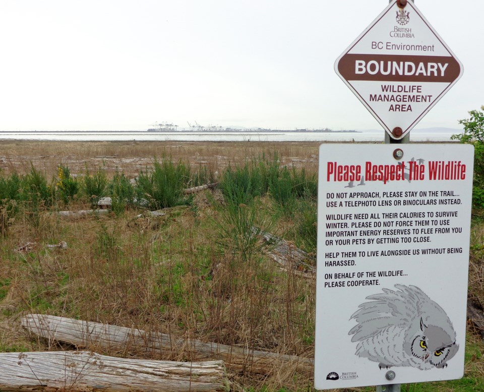 Wildlife habitat at Brunswick Point in Delta, B.C.